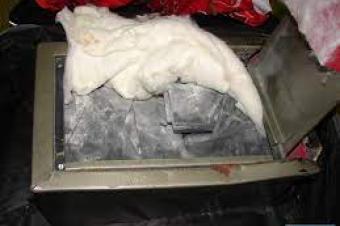 BLACK DOLLARS CLEANING MACHINE IN CONGO  27633953837